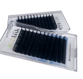 Cashmere volume Lash 0.05 mm J and B curl single length