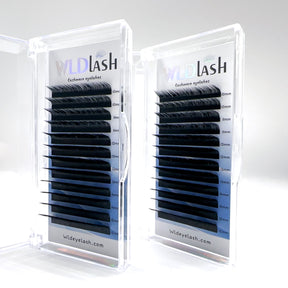 Cashmere Volume Lash 0.03 mm L/M Curl mix length