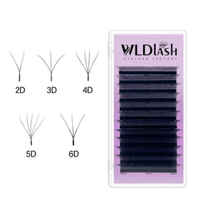 W-4D Shape Lash Extension