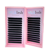 Easy Fan Eyelash Extension 0.07 mm
